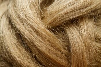Close view of flax fibers used in linen