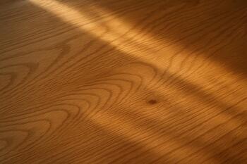 Oak surface under soft window light